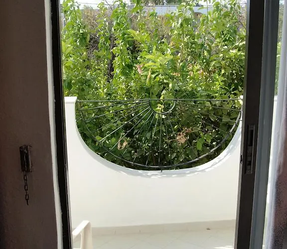 Mary Christina Daire